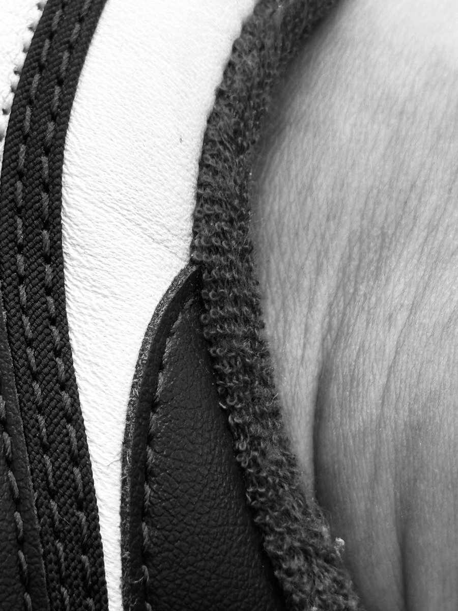 Alonein43672278's tweet image. #photography #blackandwhite #composition 

With and Without