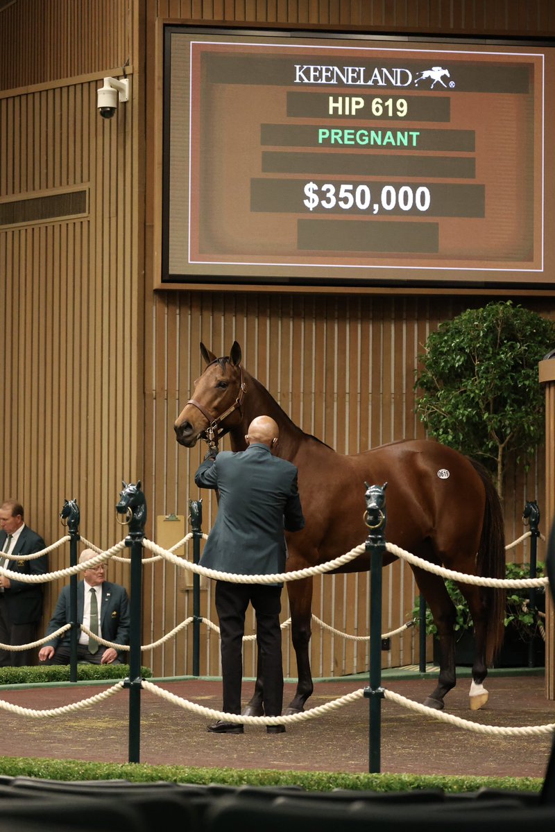 Elm Tree Farm tweet media