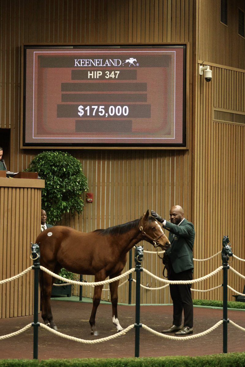 Elm Tree Farm tweet media