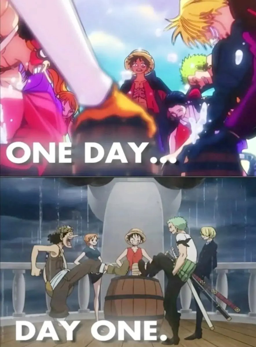 One Piece Memes tweet media