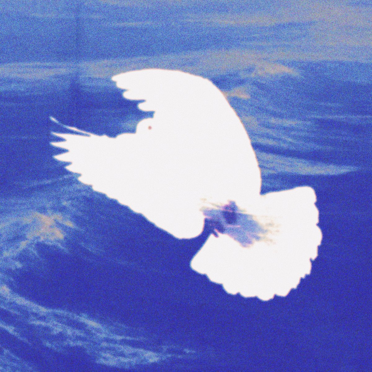 NEW JEROISMUSIC AND MANZI FLEUR

“DOVES IN KIBUYE” OUT NOW💿