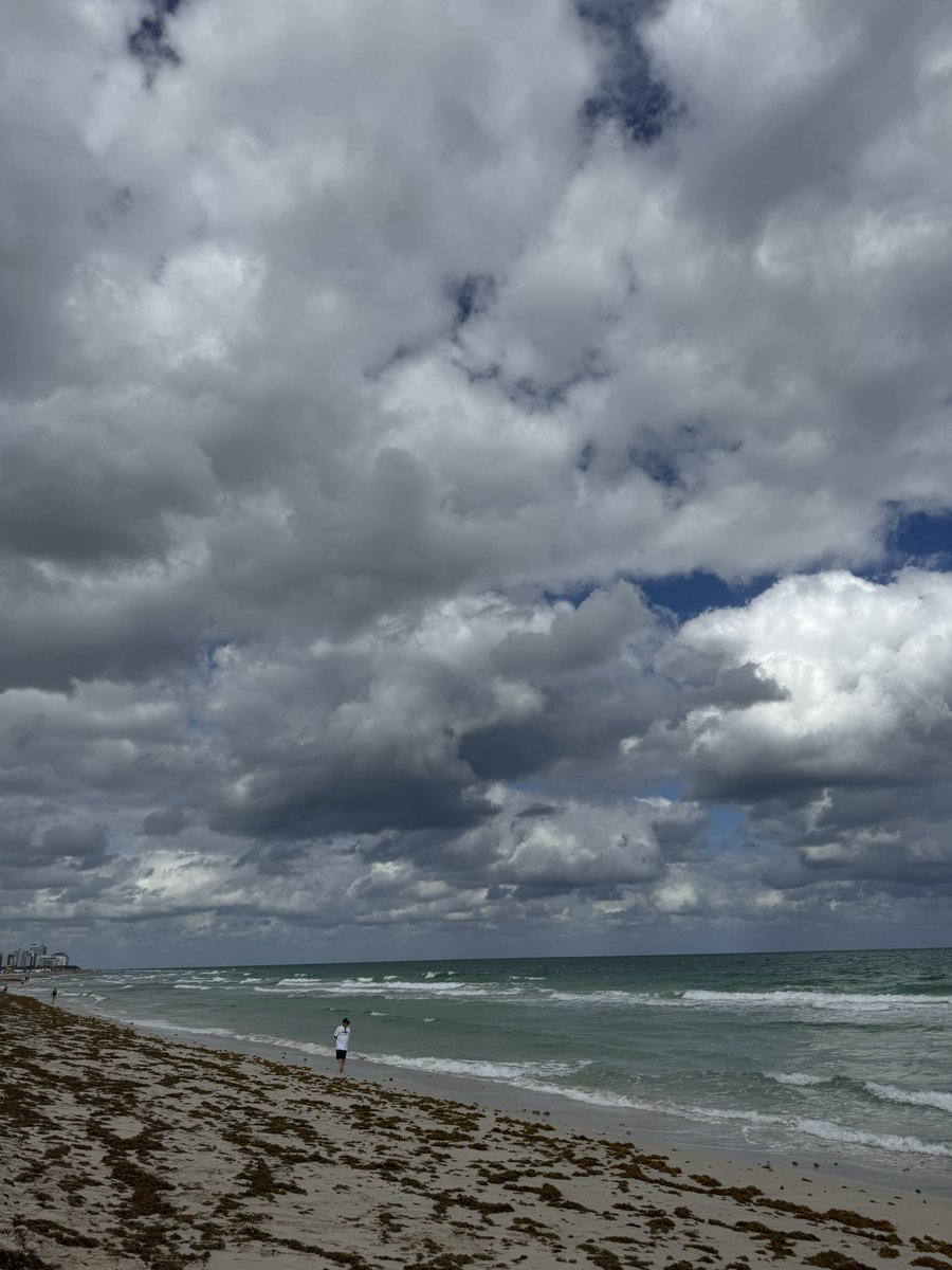 Matt Johansen tweet media