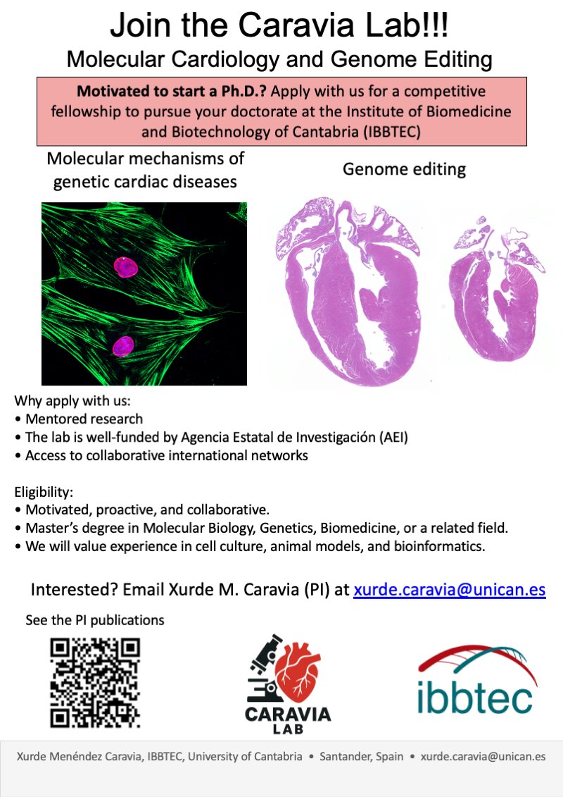 XurdeMC's tweet image. Are you motivated to start your Ph.D.? Join the Caravia Lab at @IBBTEC to apply with us for competitive fellowships.
@unican 

👇🏻See more information below