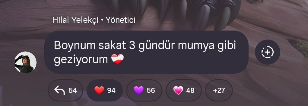 rezil olduk hilal engelleme ben senin kanınım