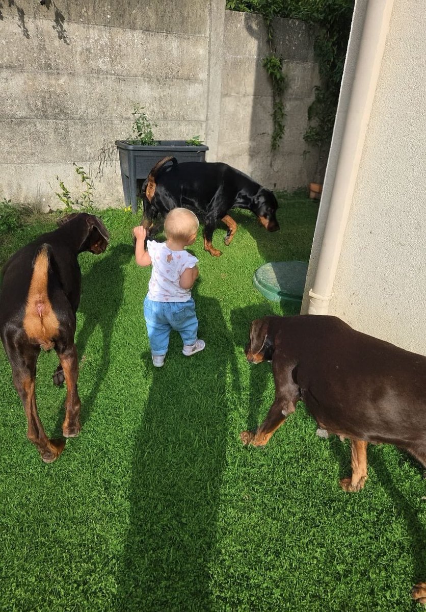 Vincent Chabot tweet media