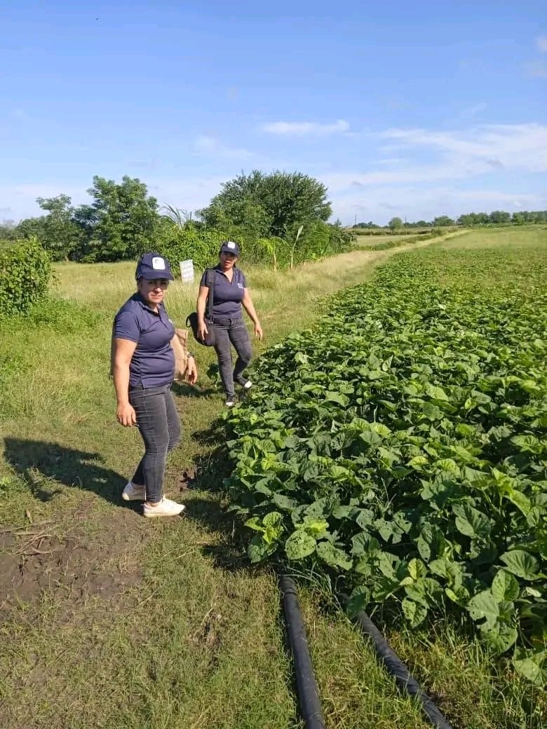 CitmaLT's tweet image. Parte del equipo del Proyecto Mi Costa visitó el centro de evacuación IPA Manifiesto Montecristi, en el municipio Jobabo, sur de la provincia Las Tunas y realizó un donativo.
.
.
#MiCosta #Resiliencia #CambioClimático
@citmacuba 
@OlanoGisela 
@proyec
@ArmandoRguezB