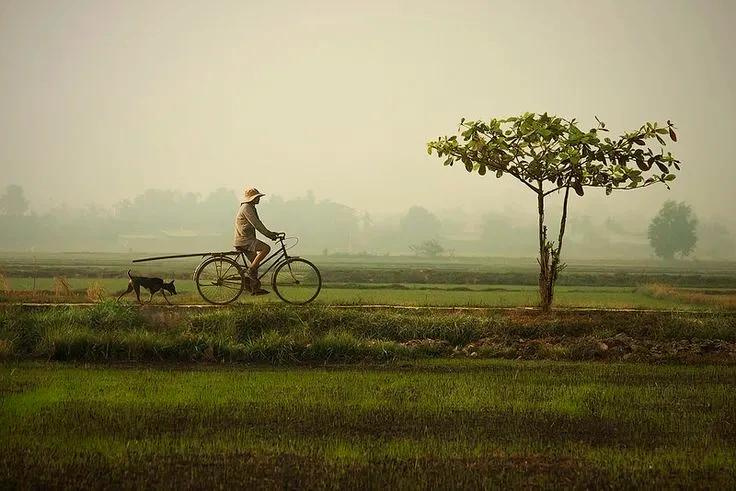 ऐसा है मित्र कि अगर...
क्रोध आए तो क्रोध आने की उस वजह से लड़ो, 
ना कि बे कसूर मनुष्य से और मुसीबत आए तो उस मुसीबत आने की वजह से लड़ो खुद से नहीं।।