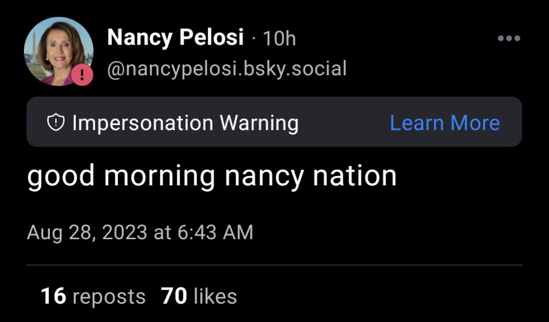 frankiefey's tweet photo. in the spirit of nancy pelosi’s retirement here’s my entire collection of nancy memes #nancynation https://t.co/KghwvZ91Lt
