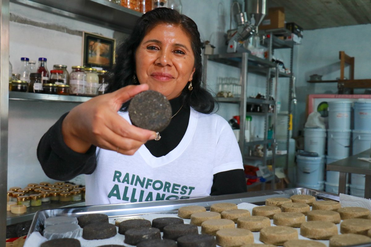 Forests cover 30% of Earth’s surface and employ 33M people globally. From timber to tourism, they power economies and livelihoods. 

Meet the forest entrepreneurs growing their businesses: wrld.bg/LM7U50Xo5Ol