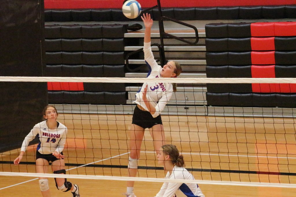 PP_USD311's tweet photo. Congratulations to our bulldogs who were named to the 2025 Heart of the Plains Volleyball All League! Kayleigh Vogl and Amity White were named to team 1, with Ava White receiving Honorable Mention https://t.co/0D12rYAllV
