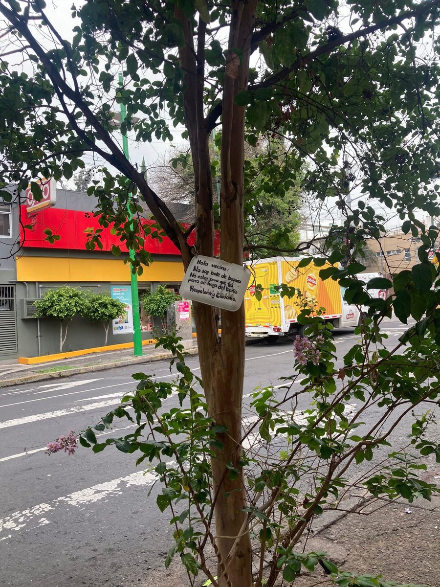 Col_Industrial's tweet photo. Se acerca el aniversario 99 de nuestra Colonia Industrial‼️

Estaremos compartiendo  lo que la hace hermosa y agradable para vecinos y visitantes, por ejemplo: sus espacios verdes 🌳🥰

#Aniversario99
#noviembre2025
#coloniaindustrial https://t.co/GKedvY64VM