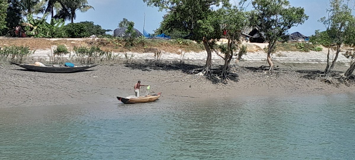 NABiC_SCSP's tweet image. The mangrove forest  of Sundarbans