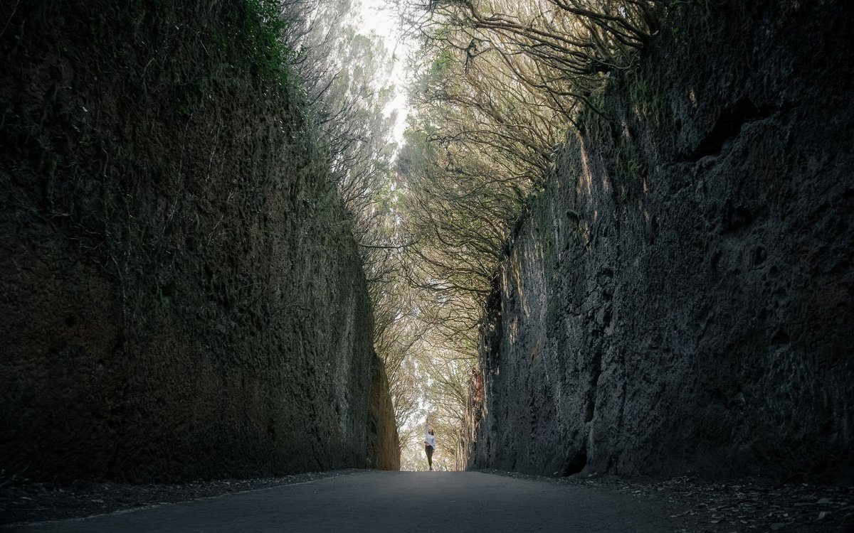 mnpousa's tweet photo. Anaga Rural Park, Tenerife.
A perfect example of a place that makes you feel small.
There she is — tiny against all that beauty.
And the best part is, being there actually feels exactly like that.

#AnagaRuralPark #TenerifeIsland #CanaryIslands #TravelLifestyle #Adventures https://t.co/lFTfghvZo2