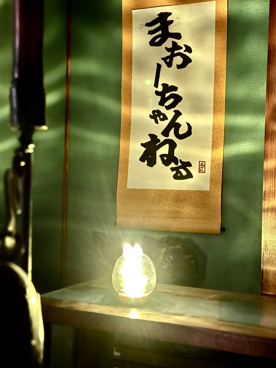 ちょマメ電球💡
爆発寸前みたい