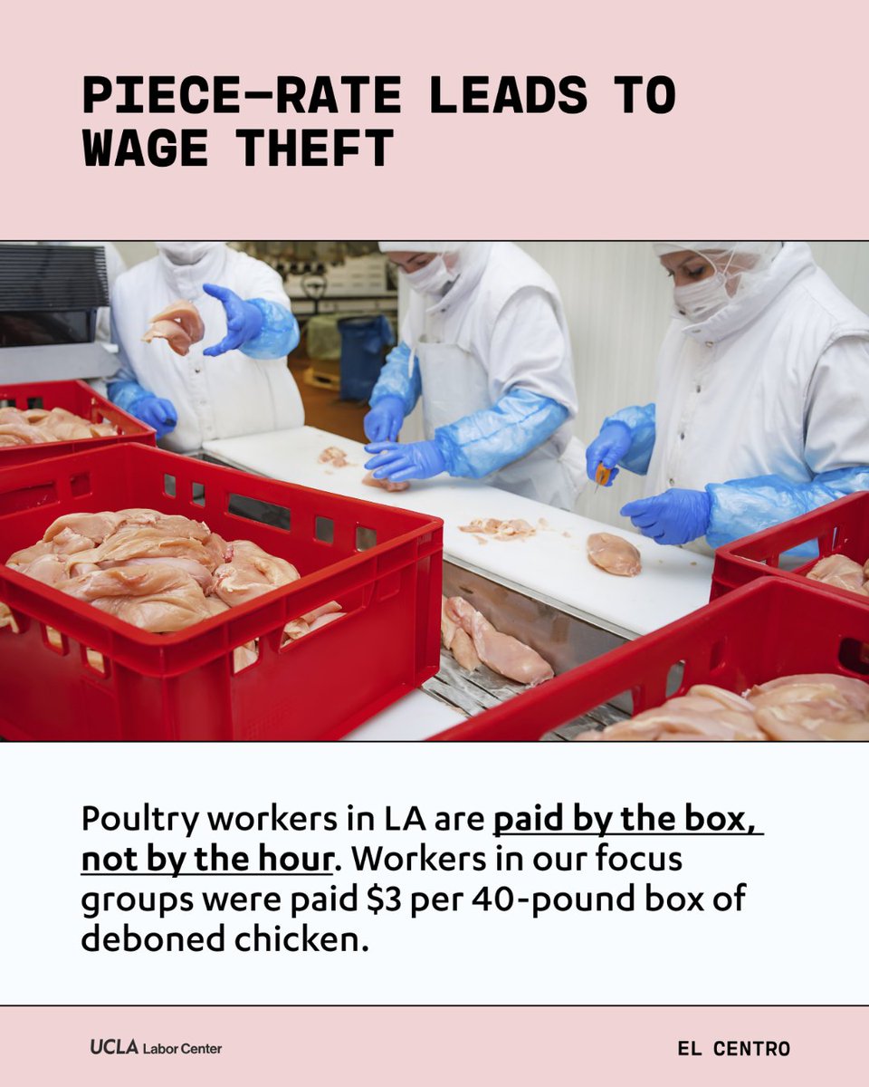 UFCW770's tweet image. Wage theft is rampant in the meatpacking industry. 

New research findings from the UCLA Labor Center shed light on the experiences of meatpacking and foodprocessing workers in LA county.

📊 Full report: bit.ly/LAMPFP

#WageTheft #MemberPower #770Strong #1u