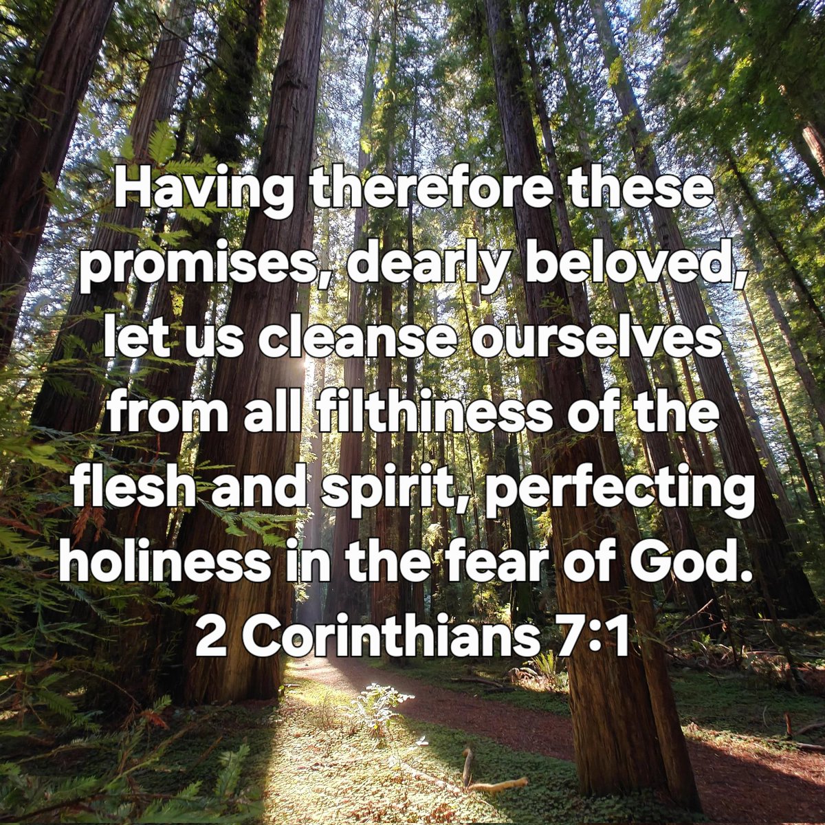 FlgMissionTab's tweet image. Having therefore these promises, dearly beloved, let us cleanse ourselves from all filthiness of the flesh and spirit, perfecting holiness in the fear of God. 
-2 Corinthians 7:1

#LordJesusChrist #TheMessage #DailyBread #Flagstaff