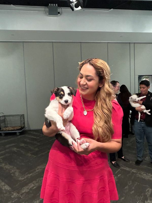 Arizona Humane Society tweet media