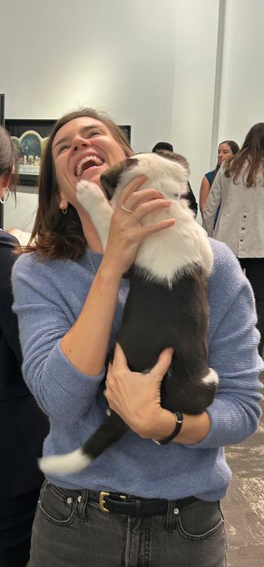 Arizona Humane Society tweet media