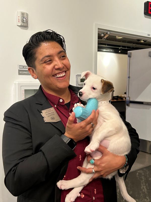 Arizona Humane Society tweet media