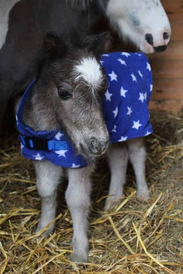 it’s getting quite chilly outside