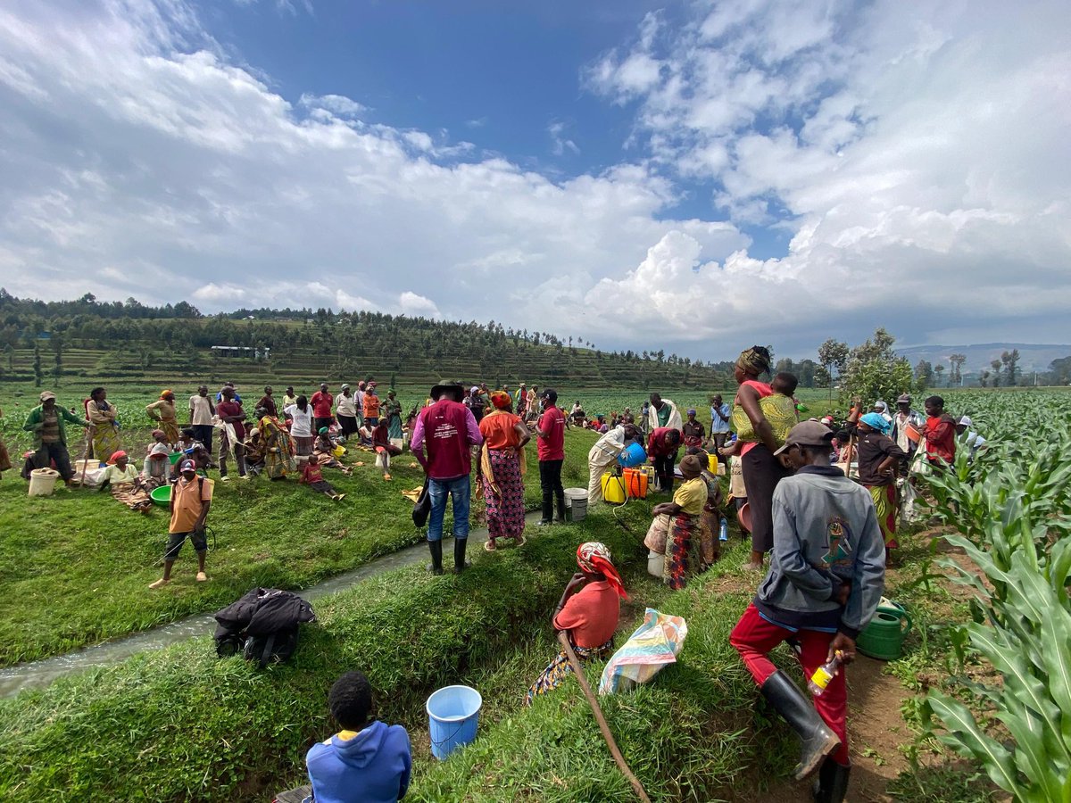 YEAN - Agriculture Extension & Advisory Services tweet media