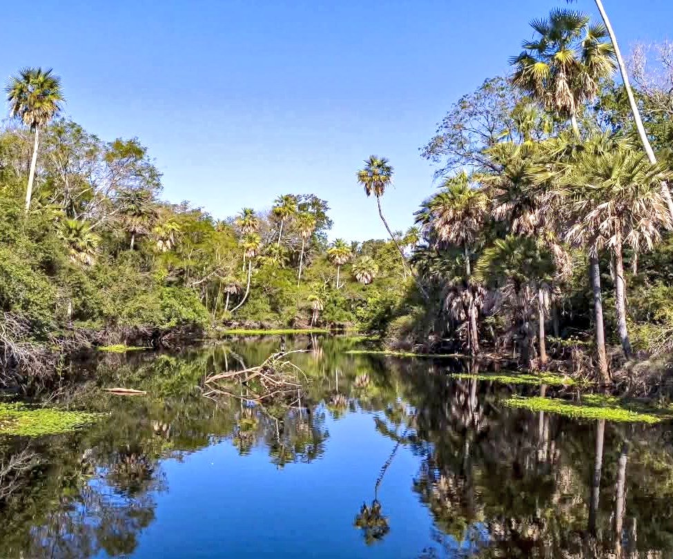 paraguayenjoyer 🌴☀️🥩 tweet media