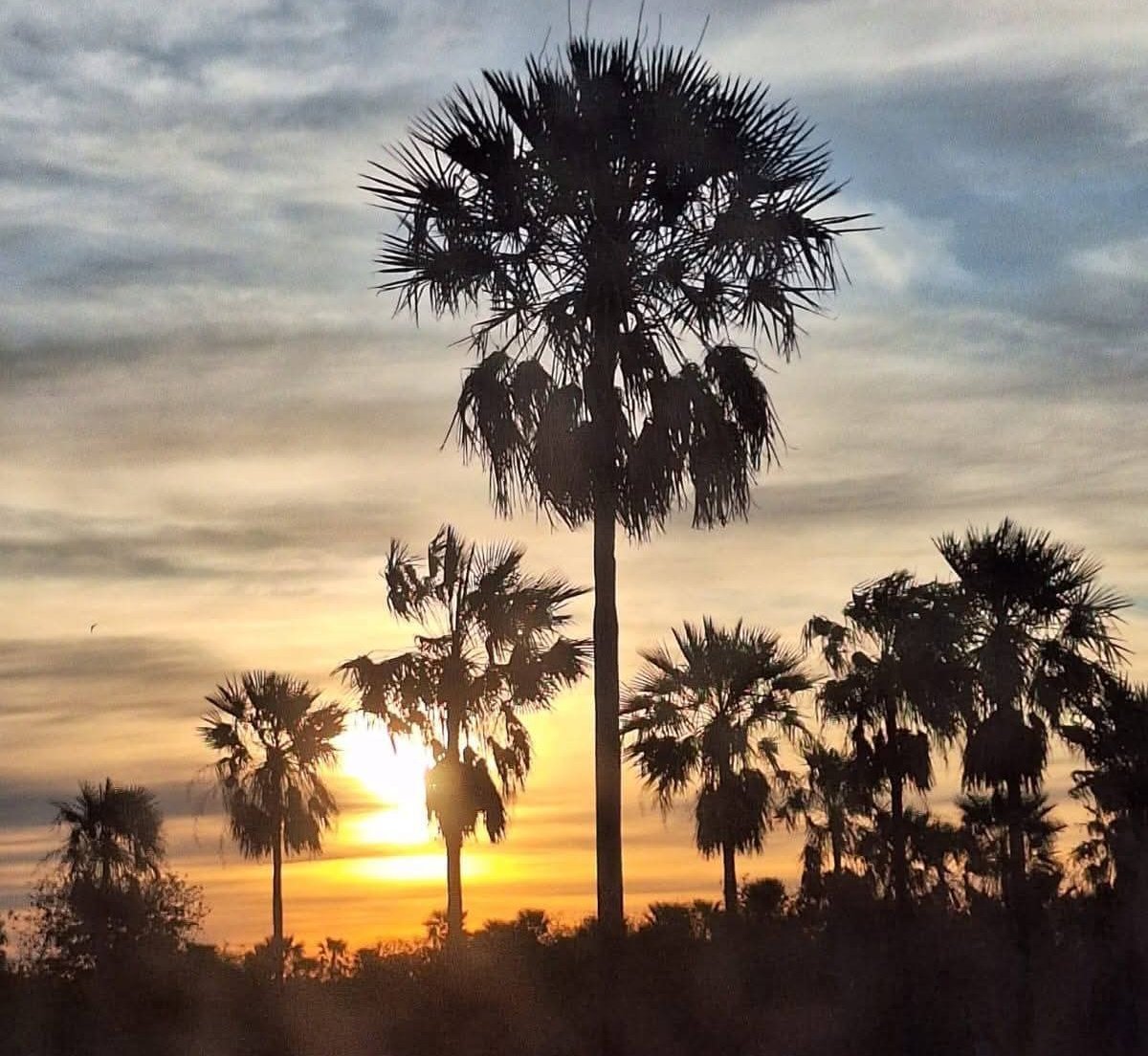 paraguayenjoyer 🌴☀️🥩 tweet media