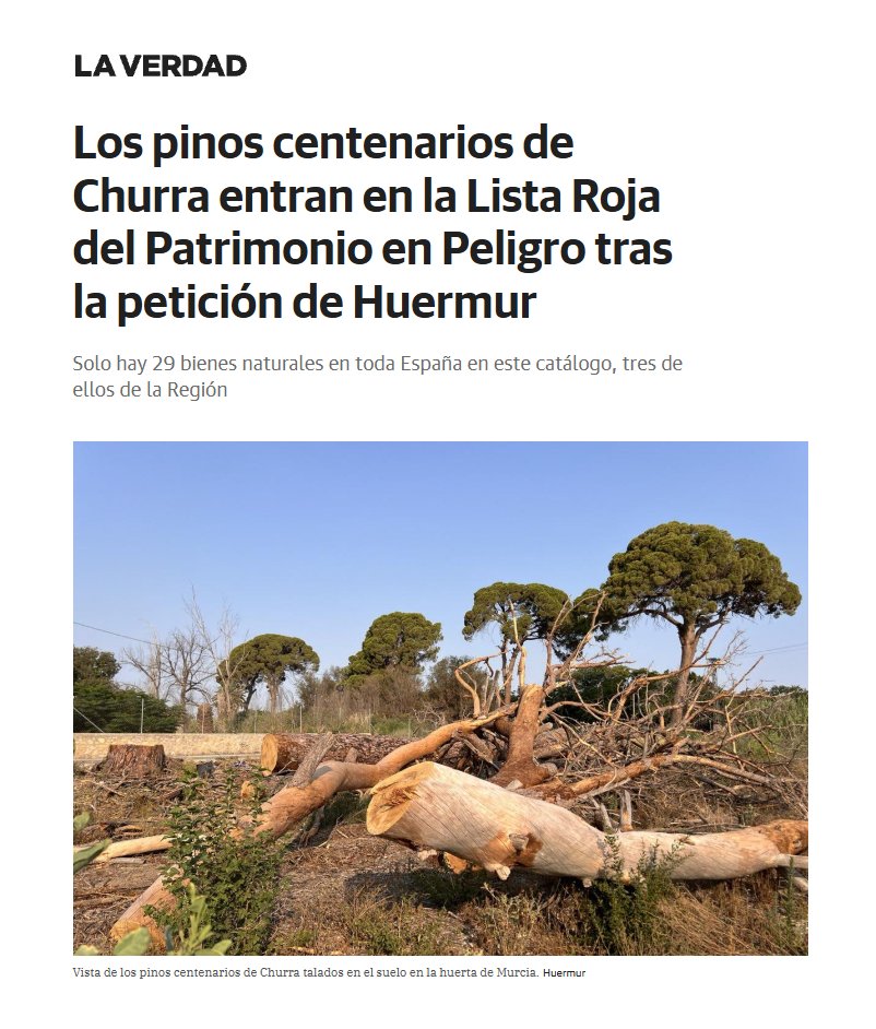 Los pinos centenarios de Churra entran en la Lista Roja del Patrimonio en Peligro tras la petición de Huermur. Solo hay 29 bienes naturales en toda España en este catálogo, tres de ellos de la Región #PatrimurSOS #MedioAmbiente

Noticia en <a href="/laverdad_es/">laverdad_es</a> 🗞️

laverdad.es/murcia/ciudad-…