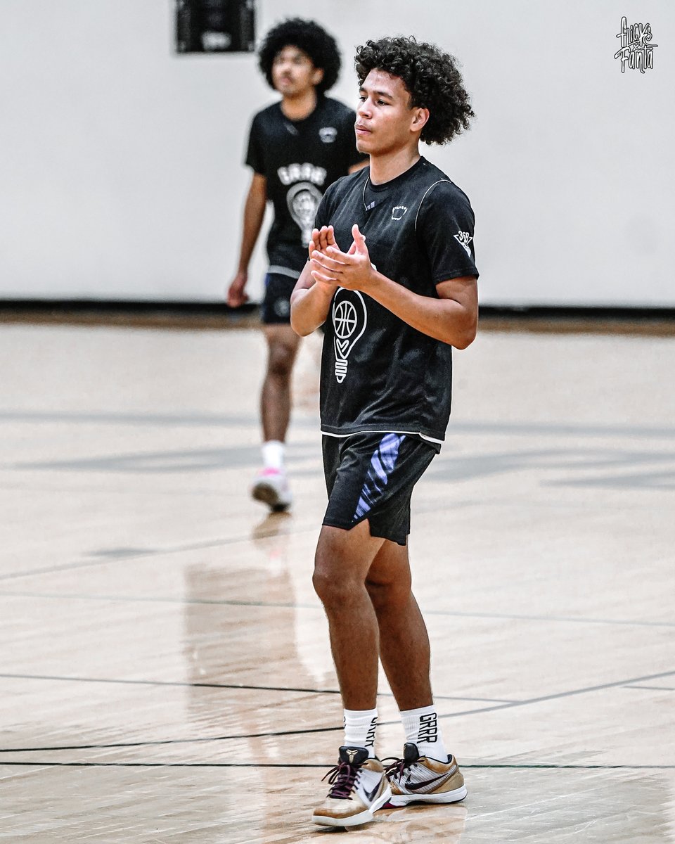 Pro Insight tweet media