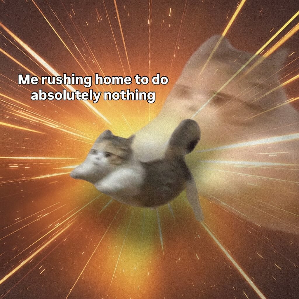 Miaw (@miaw) on Twitter photo 