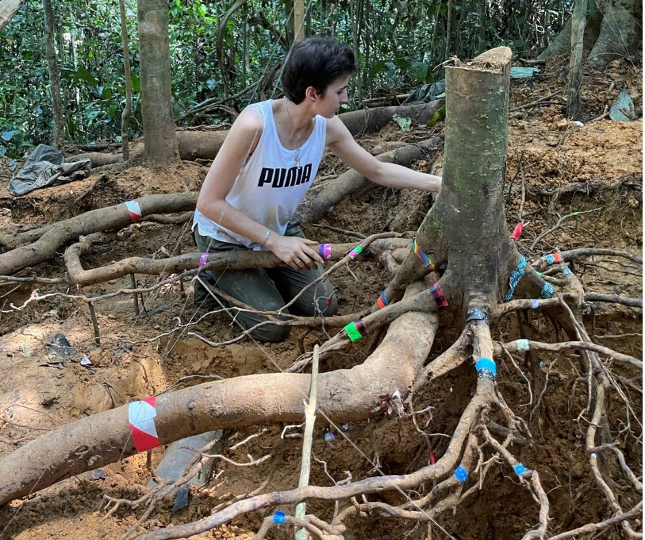 OfficialZSL's tweet image. 🌿 “Climate and nature can only be protected when they’re tackled together.” 

Dr Hollie Folkard-Tapp’s research at ZSL’s Institute of Zoology integrates biodiversity into climate policy, creating change for both people and the planet. 

#HumansOfZSL