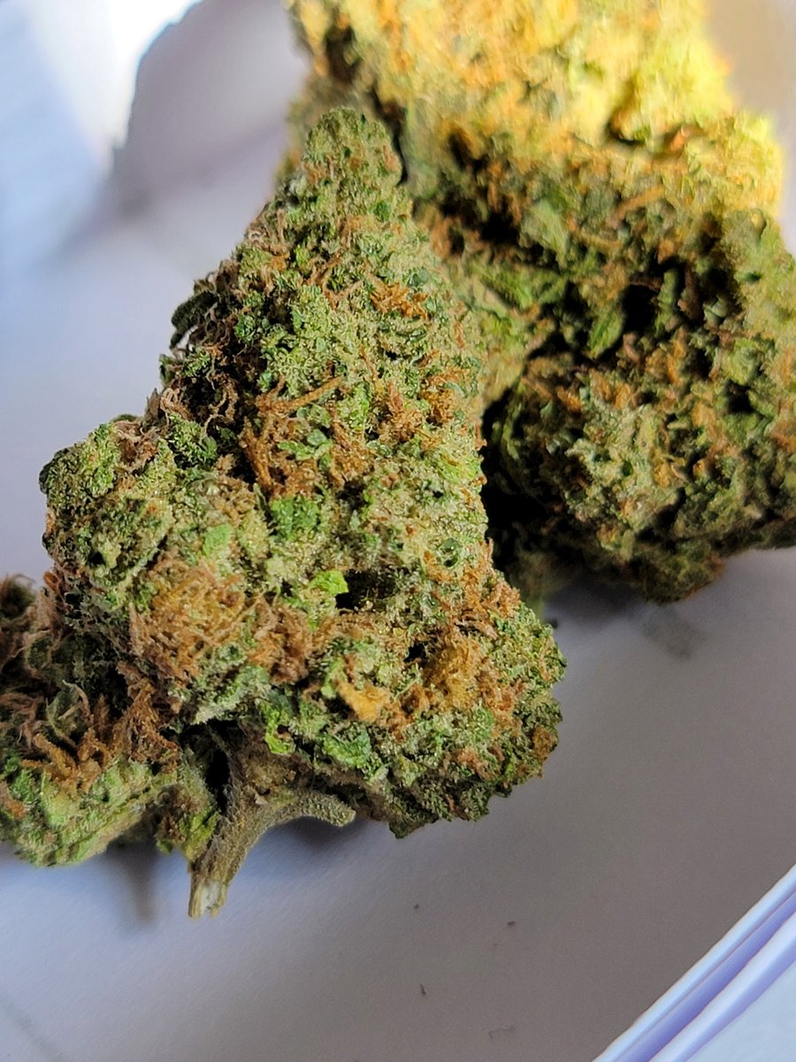 KushStation1's tweet image. DINÁMICA EXPRESS X2

Vamos a regalar 2oz de nuestro Cultivo Greenhouse a un seguidor y otras 2oz a una seguidora. Para participar solo debes dar RT a este tuit. Anunciamos a los ganadores este lunes!

Promo hasta el lunes
4oz Greenhouse x 1400
Envío nacional incluido✨️