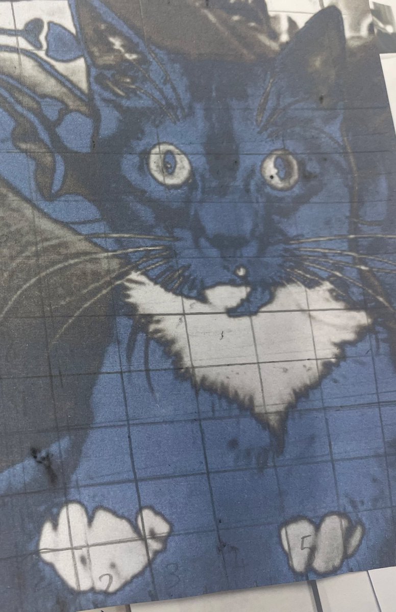 Tough and awesome art class today we did creating a portrait using grid work ☺️ and it was a huge challenge as I struggle with maths so the grid part I found tough but loved the drawing part ☺️

Little Lily so far ❤️

Printer needs a clean so photo came out pop arty ☺️