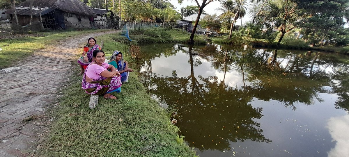 NABiC_SCSP's tweet image. The sustainable lifestyle of communities living in island. Nothing is wasted. The synchrony of nature and humans. Though human wildlife conflicts create trouble. A tiger was roaming in the village of Kumirmari a few days back