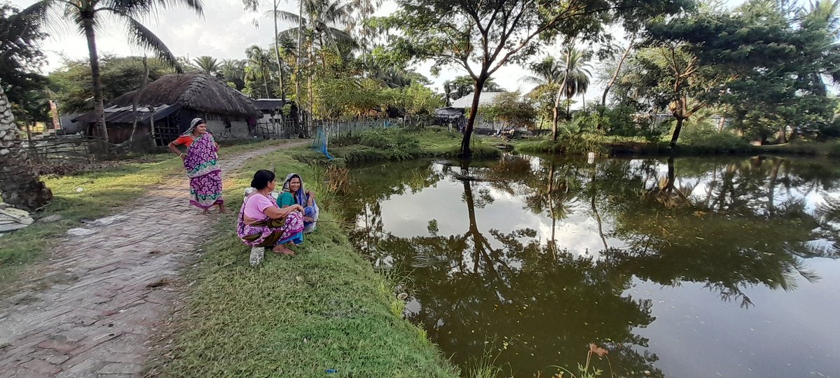NABiC_SCSP's tweet image. The sustainable lifestyle of communities living in island. Nothing is wasted. The synchrony of nature and humans. Though human wildlife conflicts create trouble. A tiger was roaming in the village of Kumirmari a few days back
