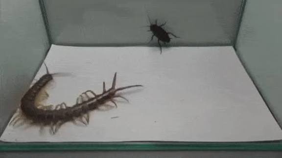 What <a href="/tom_six/">Tom Six</a> is cooking in the darkness of the silence? 👀