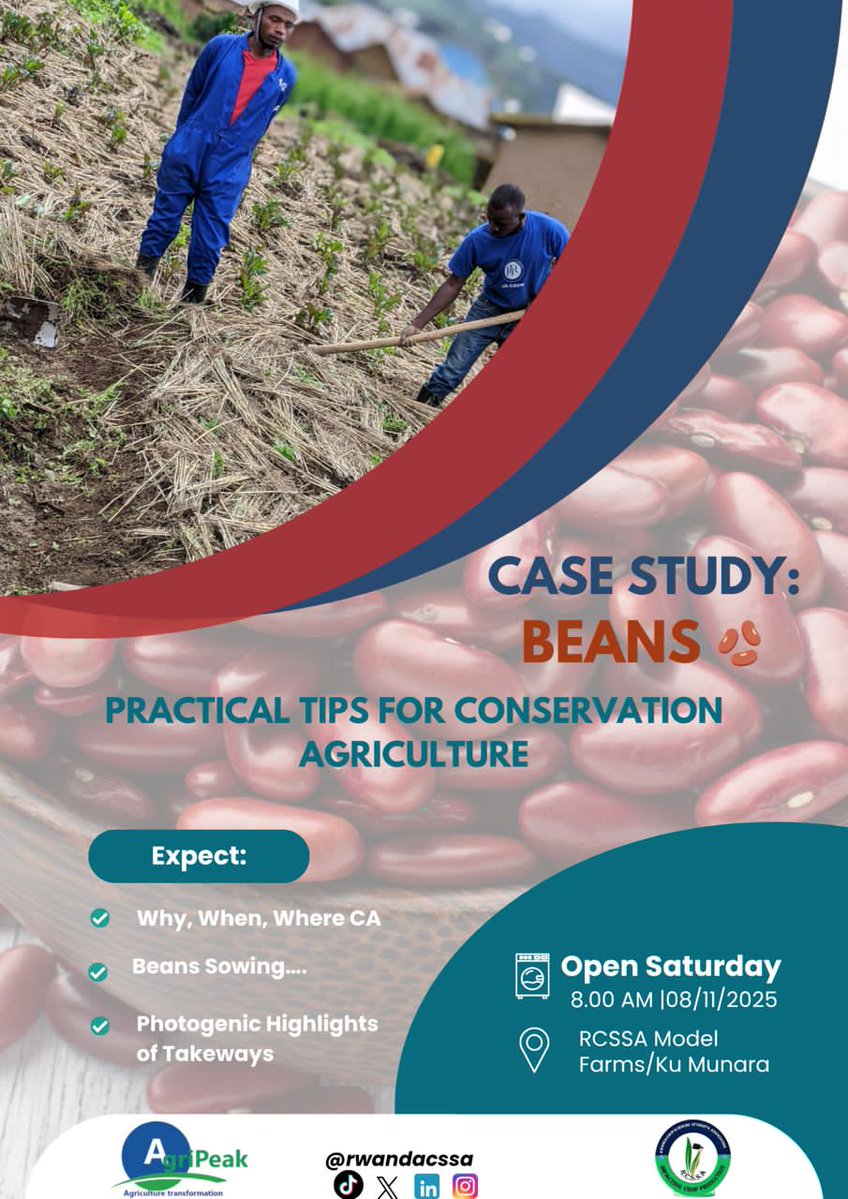 agripeak1's tweet image. Farming Time This Saturday, we will be live at @RwandaCSSA Model Farm. Numbers of Students from @UR_CAVM will be with us for practical tips for conservation agriculture #WeForChange  @oneacrefundRW  @UNDP_Rwanda
@NatureRwanda