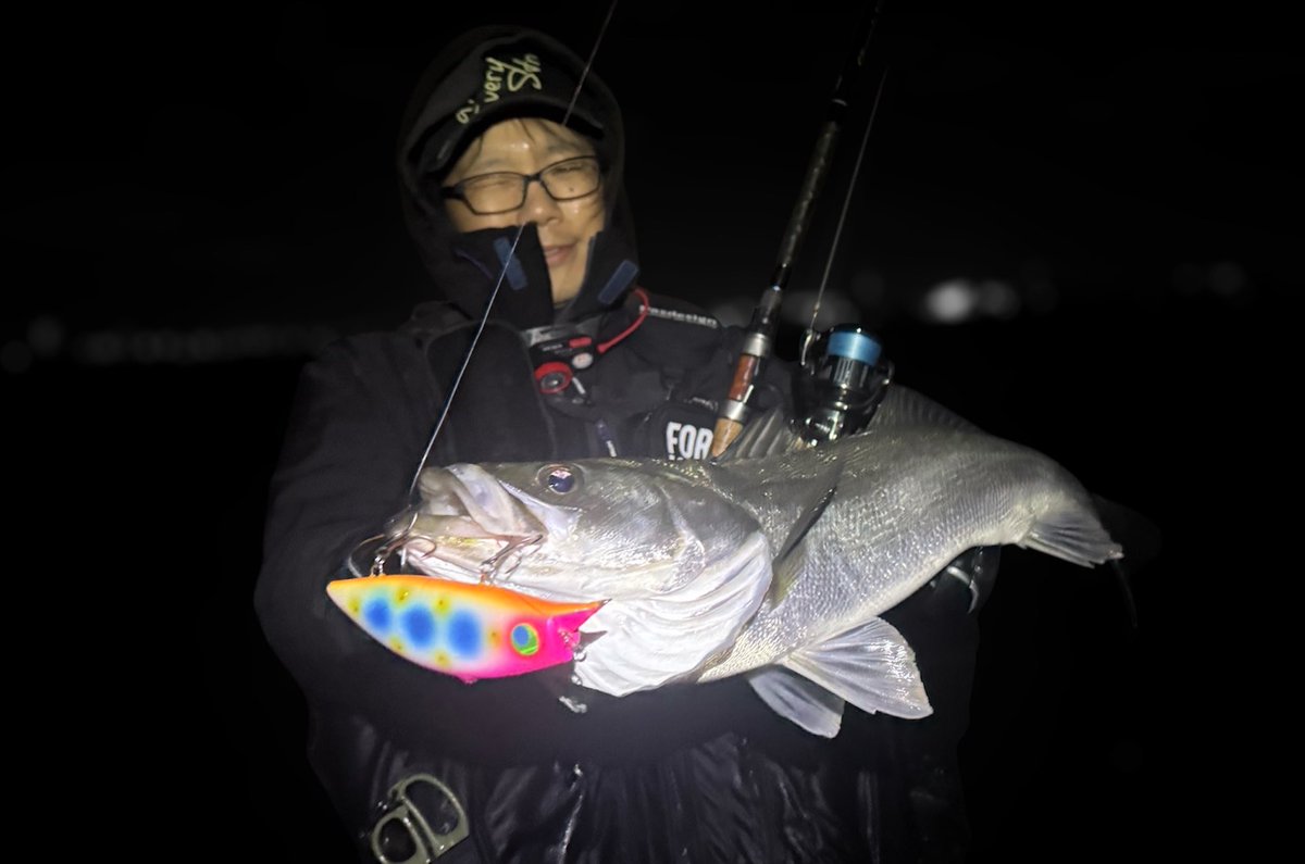 owson1111's tweet photo. 前回の釣行を参考に、攻め方を変えて9キャッチ！
キョロキョロ140で初キャッチも☺️
ランディングするまでは丸呑みでした！

ヒットルアーはコモモsf155、145、125、155counter、145counter、キョロキョロ140！
やっぱりシャローエリアはコモモがつよい🙏

#tulalajp
#glissando810
#ridgeline https://t.co/eVJvjJbA58