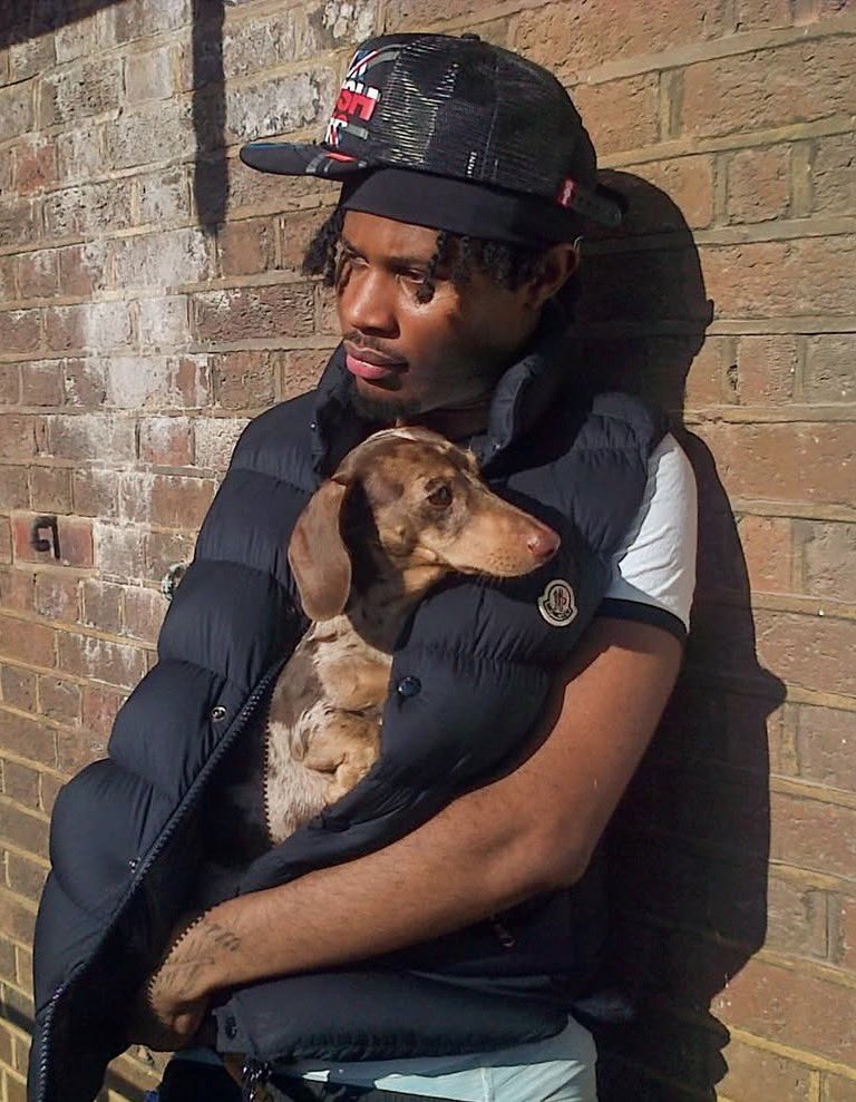 Dobson 🦋 tweet media