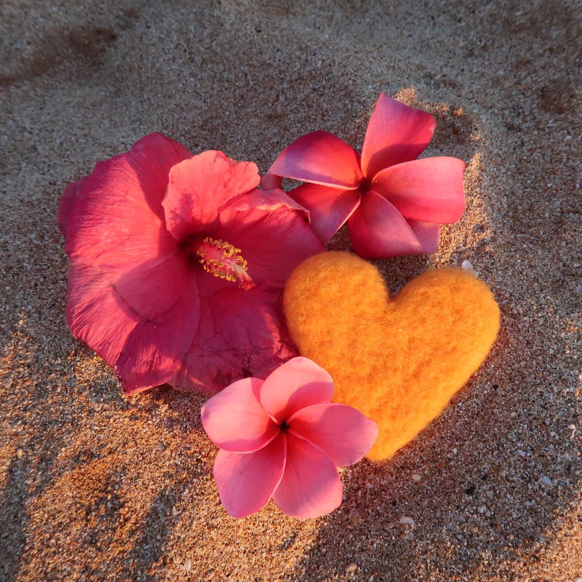 Learn How to Felt a Hibiscus Flower on SnowflakeForest Youtube Channel &amp; more Needle Felting Tutorials. Happy Felting🌬️🌺❄️🌲🧜🏼‍♀️✨
youtu.be/YjDenxGnJDo?si…