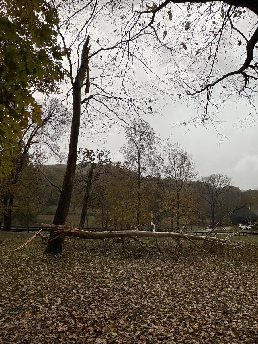 Brandi Cyrus tweet media