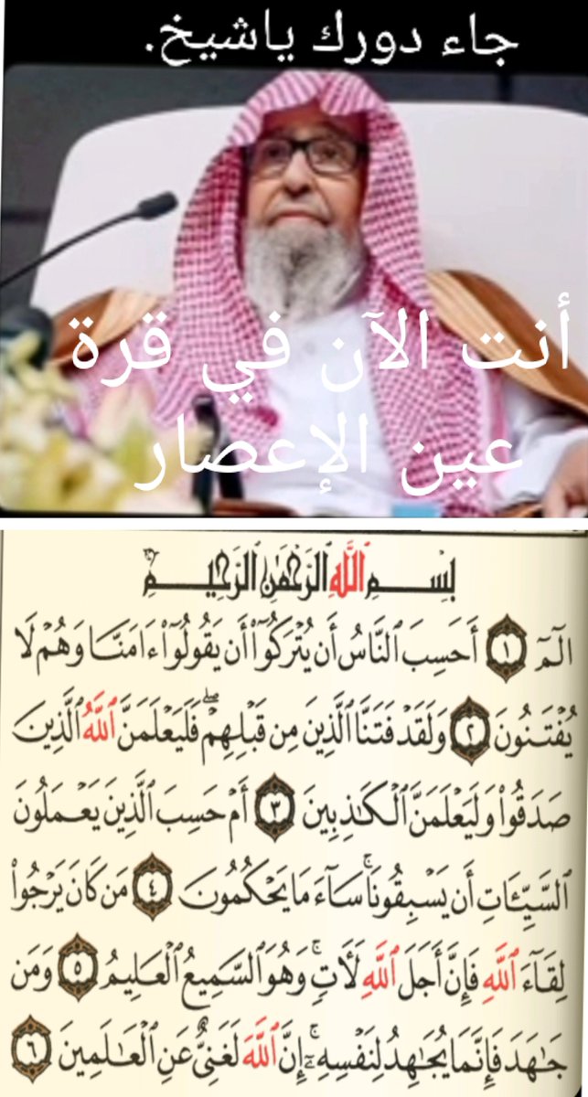 المرجان tweet media