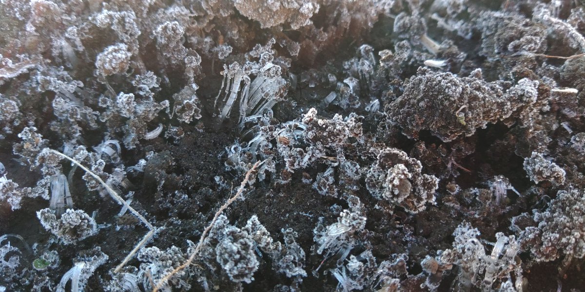 dartalpha's tweet image. 今日は標高1000以上の場所
寒いぜ！