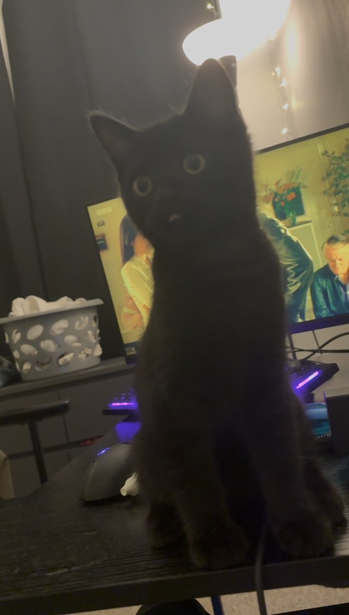 xanduh06's tweet image. #helloworld