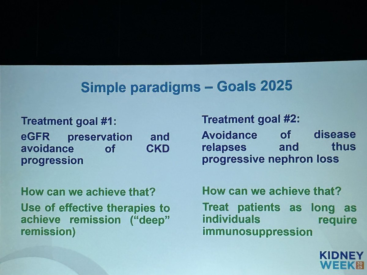 Truly ‚full house’ excellent session about hot lupus nephritis topics chaired by <a href="/SaynaNorouzi/">Sayna Norouzi, MD, FASN</a> and Juan M. Mejia-Vilet, starting from a fantastic talk of <a href="/AKronbichler/">Andreas Kronbichler</a> about 25’ treatment goals #KidneyWk
