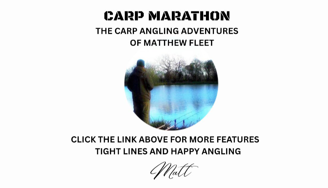 Carp Marathon tweet media