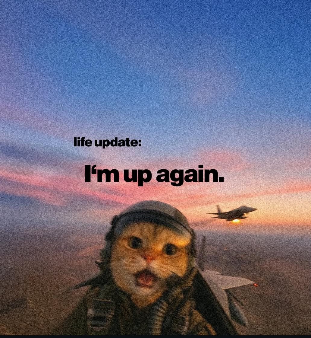 itsnotandy__'s tweet image. 