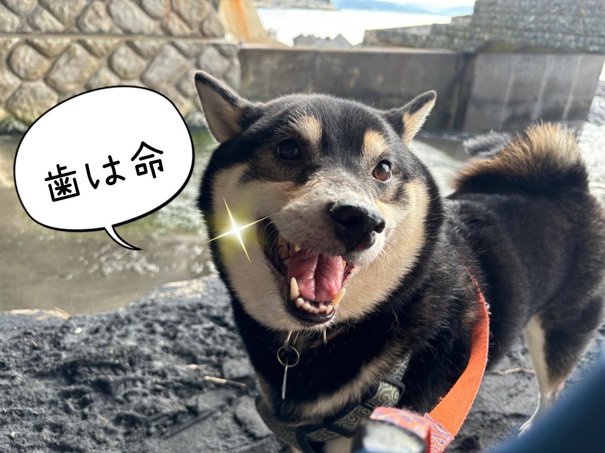 西川尊琉 (@Takeru1988) / Posts / X