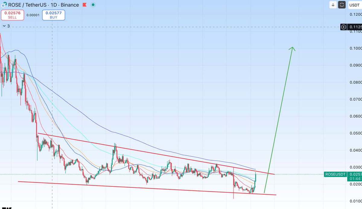 $ROSE is the utility governance token for staking, fees, and ecosystem incentives. It's built on a proof-of-stake consensus and Cosmos SDK, with a focus on real-world use cases like private DeFi trading and AI model training on encrypted data.  

Why i'm bullish: 

▪️ Founded by