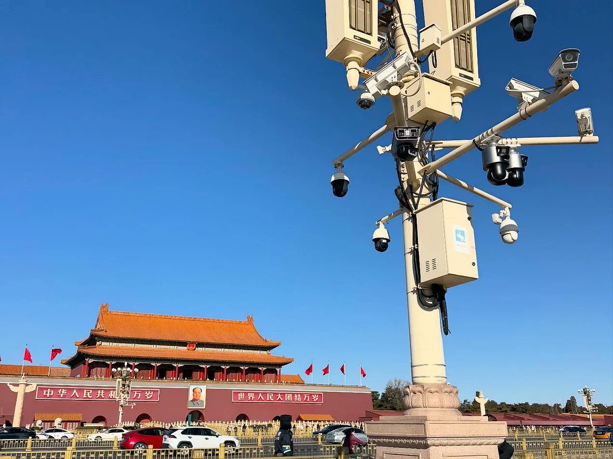 Gratitude DNA tweet media